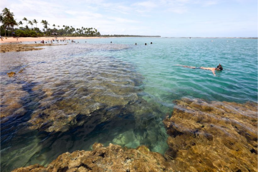 As Melhores Praias Da Bahia Para Conhecer Veja Todas Elas